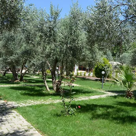 Doga Hotell Öludeniz